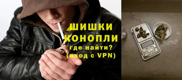 индика Абаза