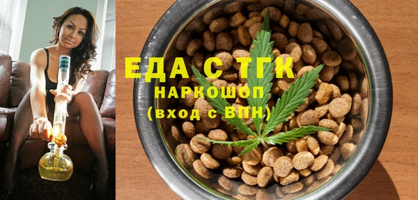 индика Абаза