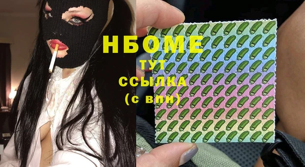 индика Абаза